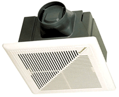 õ����ȯǳ��