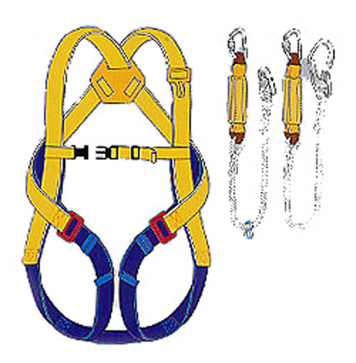 ������Ʈ